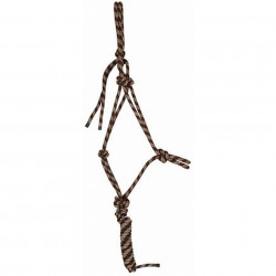 Ensemble licol + longe éthologique T de T