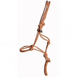 Ensemble licol + longe éthologique T de T