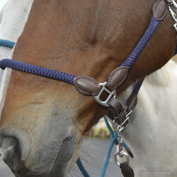 Licol cuir et corde TIME Rider