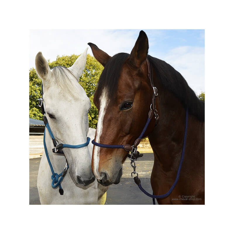 Licol cuir et corde TIME Rider