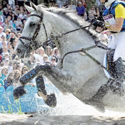 Guêtres de cross antérieur Air Cooled Premier Equine