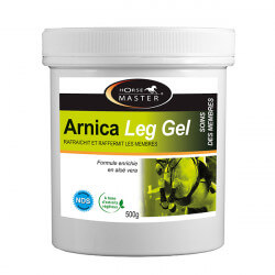 Arnica Leg Gel Horsemaster