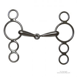Mors Pessoa 4 anneaux Time Rider