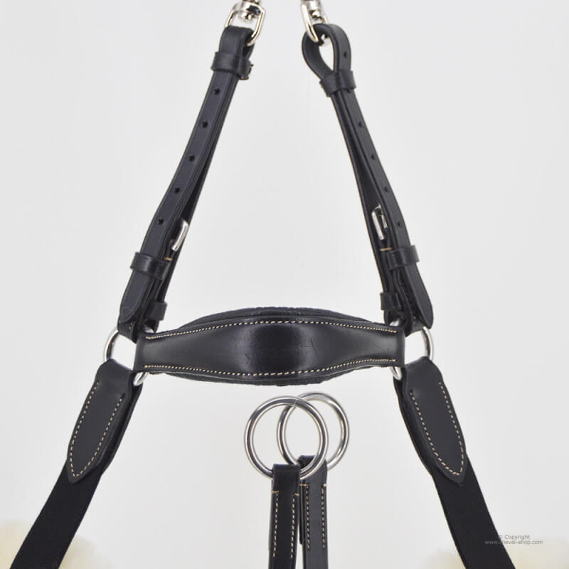 Collier de chien en cuir de vachette de qualité supérieure colliers pour animaux