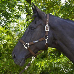 Licol nylon renforcé TIME Rider