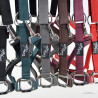 Licol nylon renforcé TIME Rider