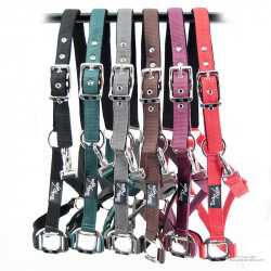Licol nylon renforcé TIME Rider