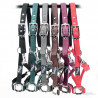 Licol nylon renforcé TIME Rider