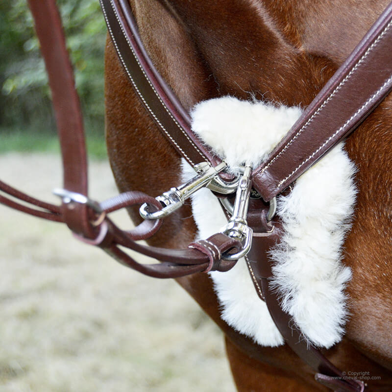 Collier de chasse 5 points HFI - équipement cheval