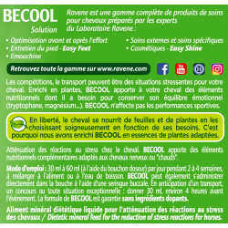 Becool anti-stress Ravene