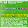 Becool anti-stress Ravene