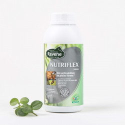 Nutriflex 500 ml Ravene