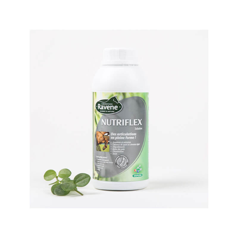 Nutriflex 500 ml Ravene