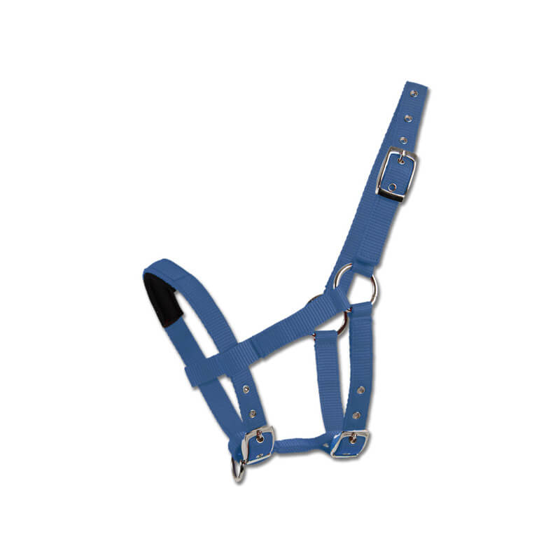 Licol HKM Minishetty Bleu Gris – Pour Mini Poney Shetland, 100% Polyester, Confortable Et Ajustable