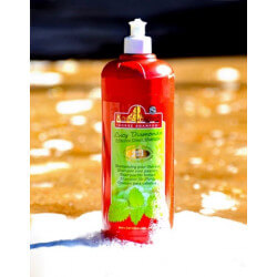 Shampooing Kevin Bacon Lucy Diamond 1L