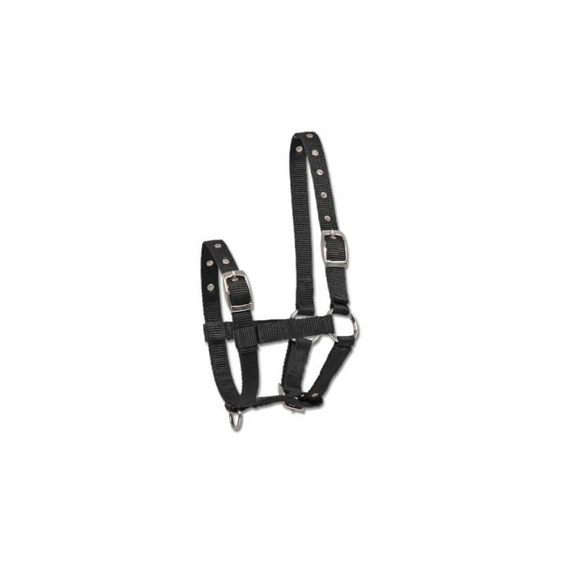 Licol pour poulain triple Licol pour poulain triple