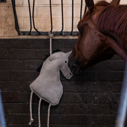 Jouet pour chevaux QHP