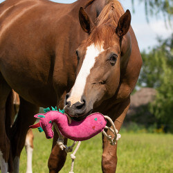 Jouet pour chevaux QHP