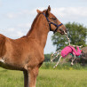 Jouet pour chevaux QHP