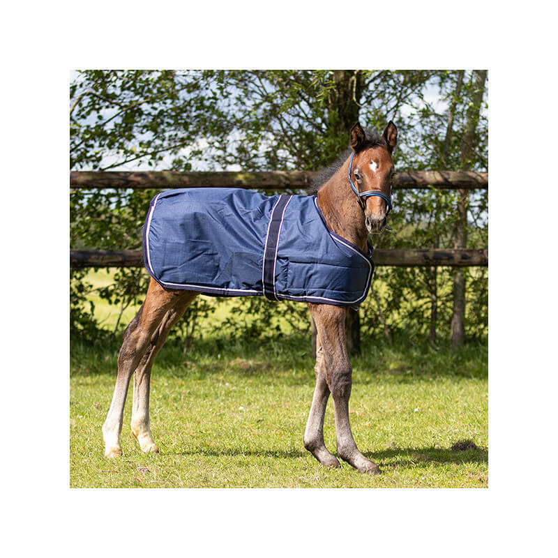 Couuverture extérieure foal 100gr QHP Couuverture extérieure foal 100gr QHP