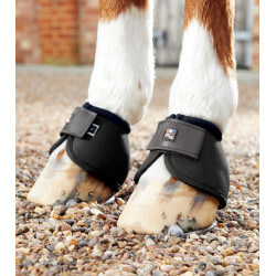 Protège glomes Premier Equine