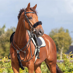 Fourreau de martingale QHP