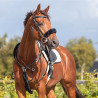 Fourreau de martingale QHP