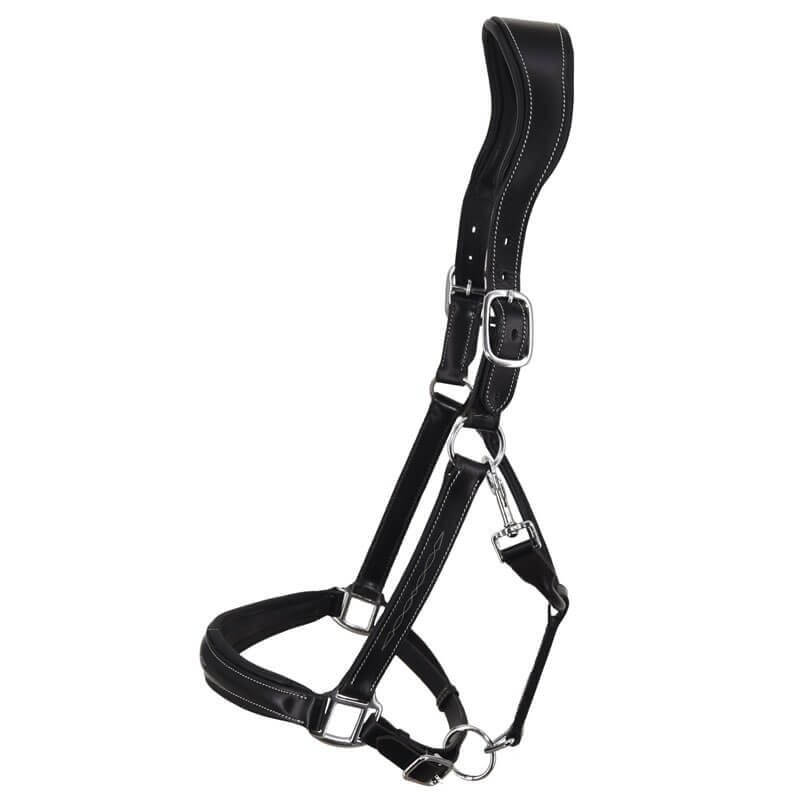 Licol en cuir anatomique Norton Pro Licol en cuir anatomique Norton Pro