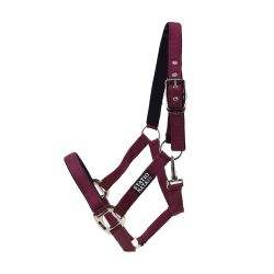 Licol nylon renforcé Stationata