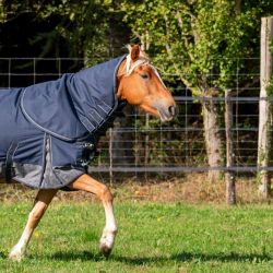 Cou amovible 0g pour couverture d'exterieur Imperméable Horse&Go