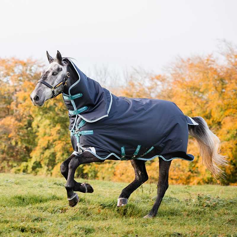 Horseware couverture d'hiver 250g avec cou Amigo Bravo 12 Plus Medium Horseware couverture d'hiver 250g avec cou Amigo Bravo 12 Plus Medium