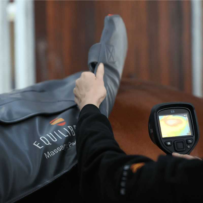 Tapis de Massage Chauffant Equilibrium Tapis de Massage Chauffant Equilibrium