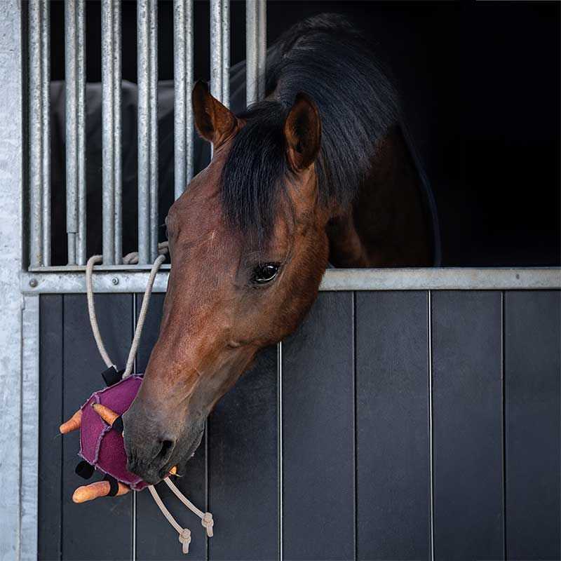 Jouet Balle pour Chevaux Jouet Balle pour Chevaux