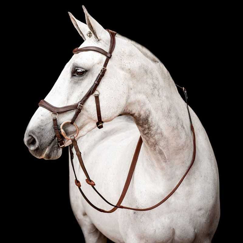 Bridon Micklem 2 compétition Horseware Bridon Micklem 2 compétition Horseware