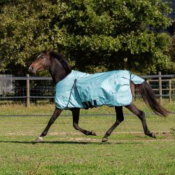 Chemise Canter outdoor 200 gr