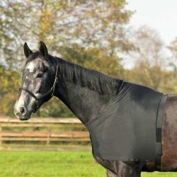 Poitrinière élasthanne QHP