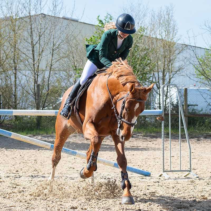 Veste huilée équitation new arrivals