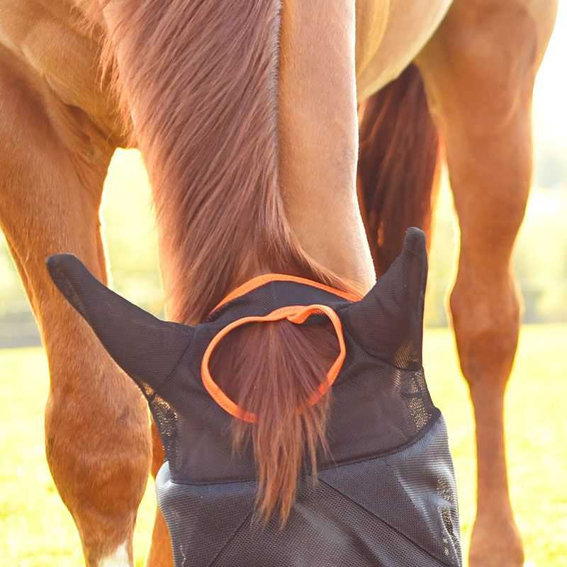 Shires Masque Anti-Mouches en Maille Fine avec Oreilles et Nez – Bleu Sarcelle