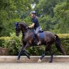 Tapis de Selle Dressage Suede Square navy LeMieux
