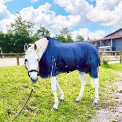 Chemise anti-mouches Horse & Go