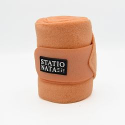 Bandes de polo Stationata 