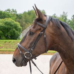 Bridon muserolle combiné Horse & Go
