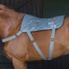 Ceinture de massage Equilibrium