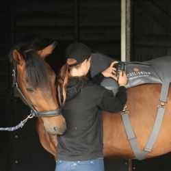 Ceinture de massage Equilibrium