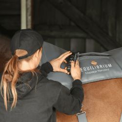 Ceinture de massage Equilibrium