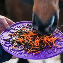 Graze Maze Likit