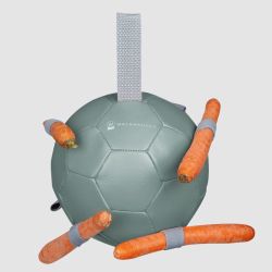 Balle À Carottes Waldhausen