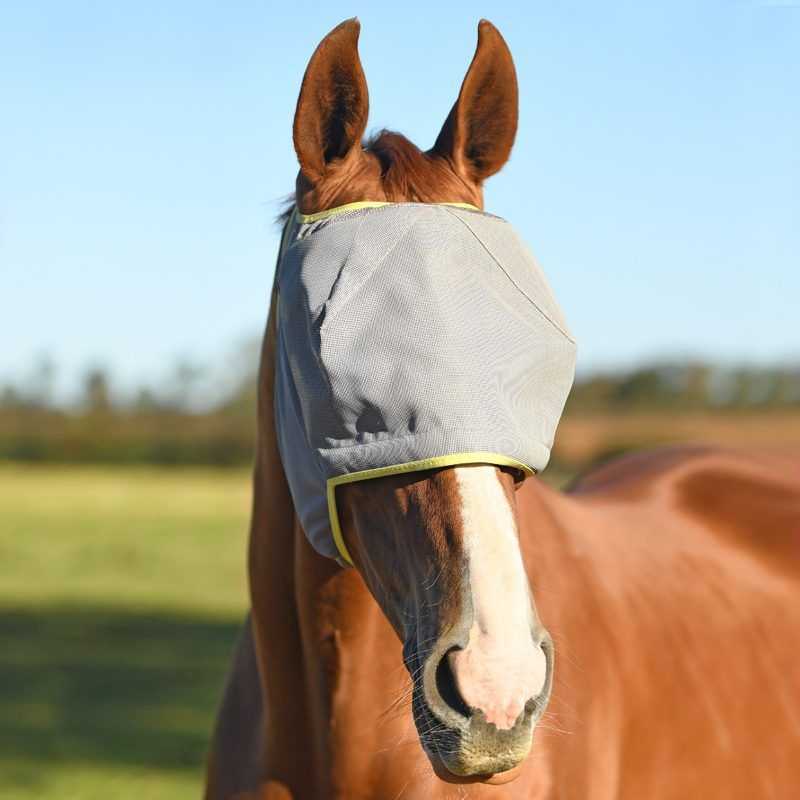🐴 Oreilles à Mouche EQuest Sans Son – Bleu Marine – Protection Cheval Anti-bruit – Neuf