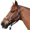 Licol corde CANTER - boucles blanches
