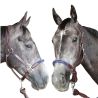 Licol corde CANTER - boucles blanches